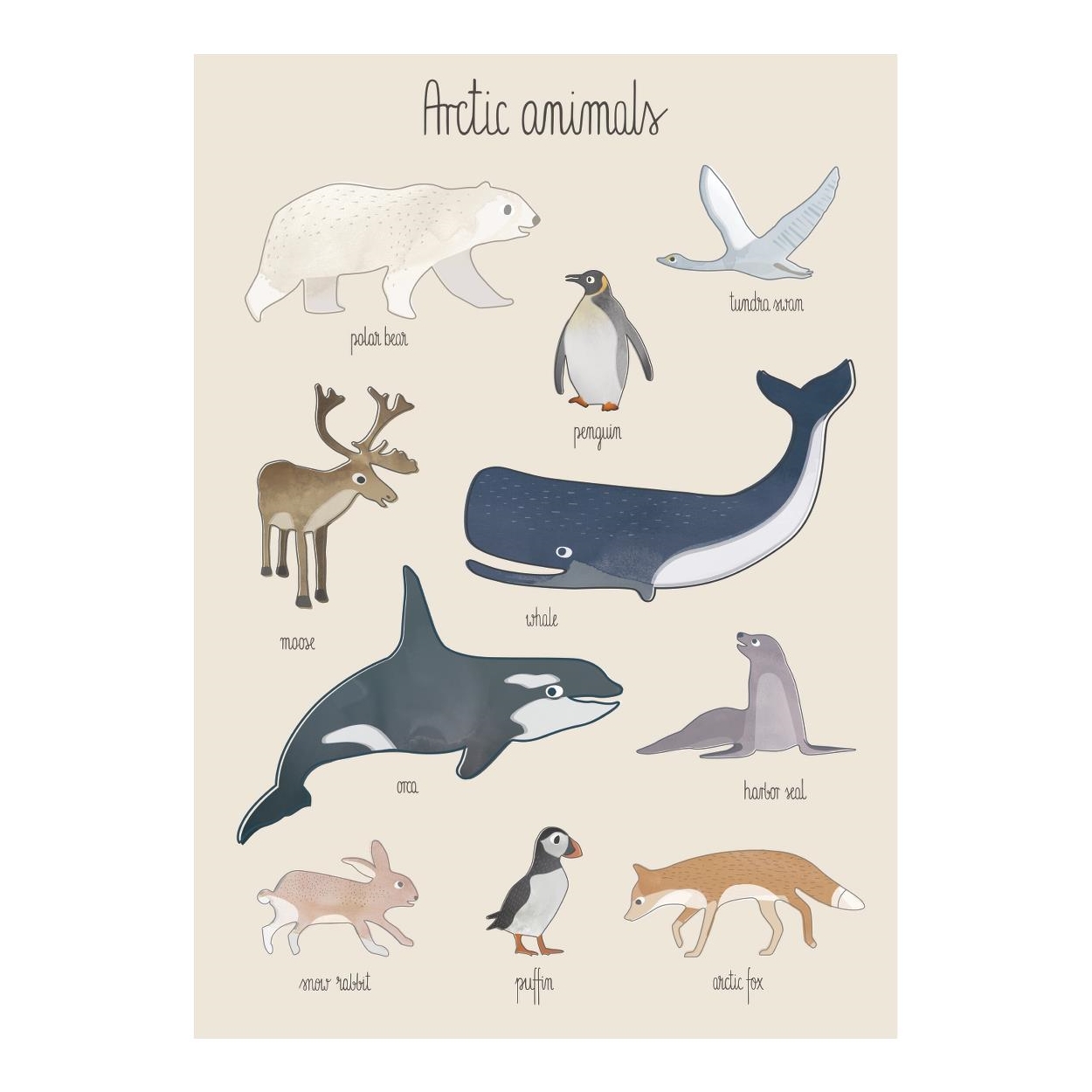 Poster Arctic Animals 50 x 70 cm Sebra